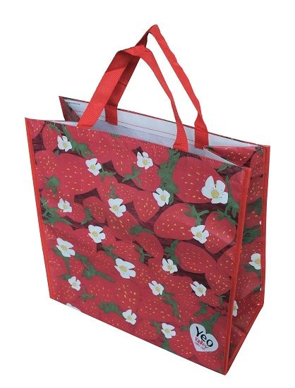 EcoBags Limited